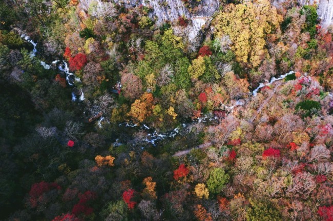 一覽紅葉滿山