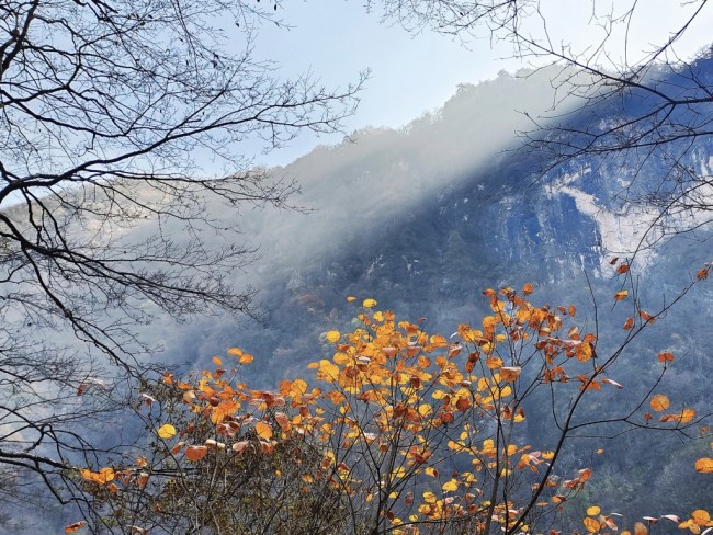 三賞霧氣朦朧