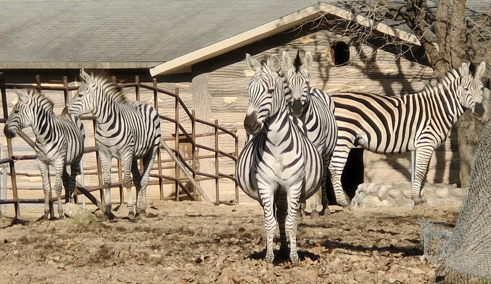 “秦嶺生態(tài)旅游季·美好西旅 詩畫秦嶺” 暨秦嶺野生動(dòng)物園媒體行活動(dòng)成功舉辦